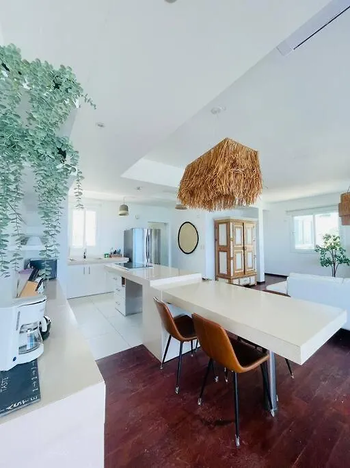 Arenas Beach Penthouse Apartment Sosua